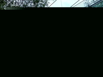 冶金電動葫蘆的結構特性